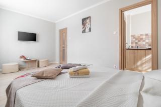 Venezia Studio Apartment - Oradea - 2