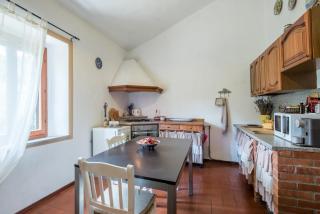 Lavanda - Montieri - 5
