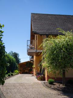 Wein- und Gästehaus Michels - Wolf - 9