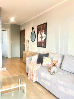 DowntownApartments Carrie - 9