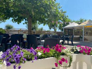 Hotel Aurelio - Cesenatico - 2