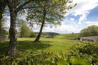 Killigarth Manor Holiday Park - 6