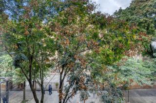 Nolita 1br w wd nr parks shopping NYC-1229 - New York - 7