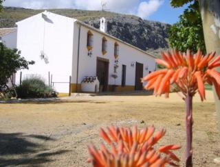 Casa La Camorra - Teba - 8