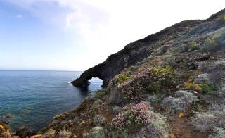sull'arco dell'elefante - Pantelleria - 9