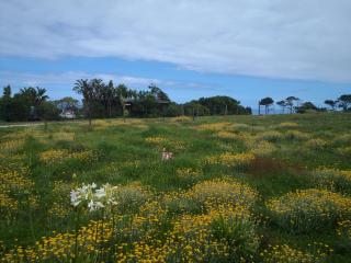 Tsitsikamma on Sea Self-catering Cottages - Witelsbos - 9