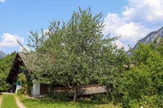 Chalet Le Monteiller - 9