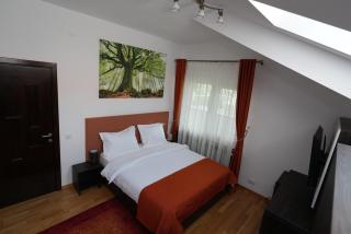 VILA CARACOSTEA - Buşteni - 5