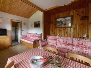 Appartement chaleureux 5 pers, accès pistes, balcon, WIFI, animaux admis - FR-1-181-2098 - La Plagne Tarentaise - 9