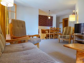 Apartment Colline 3 by Interhome - Champex - 4