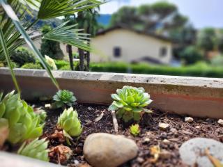 Apartment App- 21 by Interhome - 3