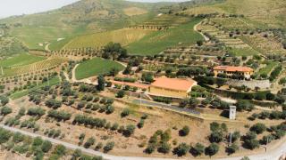 Quinta Dona Matilde - Peso da Régua - 7