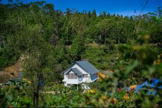 SKYLARK HOMES - Devikolam - 9