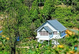 SKYLARK HOMES - Devikolam - 6