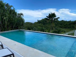 Spectacular Cozy Sea View Staffed Villa - Las Terrenas - 9
