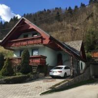 Počitniška hiša Novak - Bohinj - 8