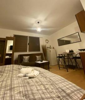 Apartman Fany - Sarajevo - 4