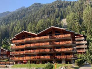Apartment Les Mayens 1-1 by Interhome - Champex - 6