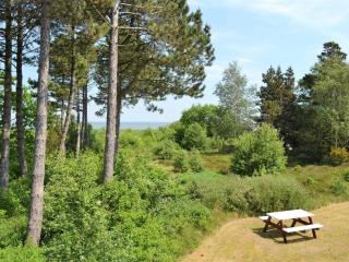 Apartment Volmer - 3-9km from the sea by Interhome - Rømø Kirkeby - 8