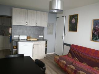 3 pièces au pied des pistes avec balcon - 2 chambres, parking, appareil à raclette - FR-1-557-5 - Les Adrets - 3