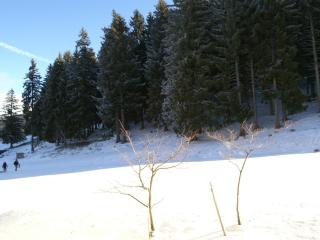 Charmant 2 pièces au pied des pistes avec balcon, proche commerces et ESF - FR-1-557-74 - Les Adrets - 2