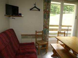 2 pièces au pied des pistes avec balcon et équipements complets - FR-1-557-95 - Les Adrets - 7