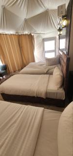 Omar Ali Luxury Camp - Wadi Rum - 9