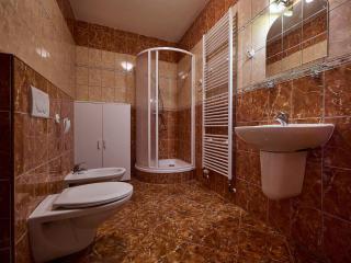 Apartment Špičák II by Interhome - Albrechtice v Jizerských horách - 6