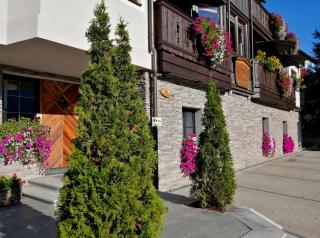 Haus Ditzer - Villa Theresia - Zell am See - 9