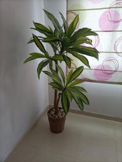 APARTAMENTO ODÍN - Peñíscola - 6