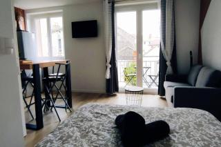 LCS home Au coeur de la ville Balcon-Parking-WIFI - Clermont-Ferrand - 8
