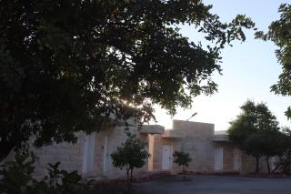 Olive Branch Hotel - 2