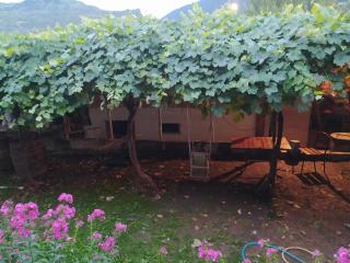 Guest House Nene - Mestia - 0