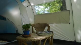 Camping Camaldoli - Camaldoli - 9