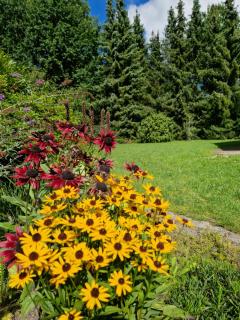 Ferienhuus Bossel - Bispingen - 4