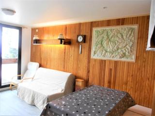 Appartement rénové, accès direct pistes, piscine, animaux admis - FR-1-267-228 - Le Corbier - 0