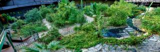 Family Garden Inn & Suites - Laredo - 2