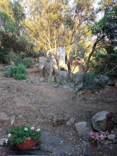 Appartamento Ginepro - 9