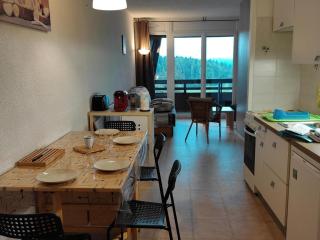 Charmant appartement 36m² 4 pers, balcon plein sud, pied des pistes - Villard-de-Lans - FR-1-689-121 - Villard-de-Lans - 9
