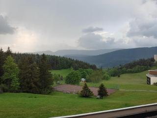 Charmant appartement 36m² 4 pers, balcon plein sud, pied des pistes - Villard-de-Lans - FR-1-689-121 - Villard-de-Lans - 4
