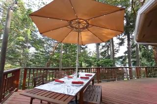 The Island Treehouse - Eastsound - 6