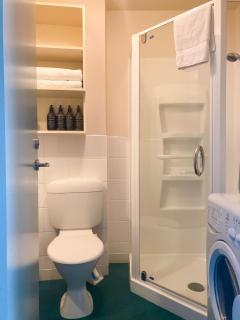 Astelia Apartment Hotel - Wellington - 4