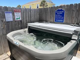Bird in Paradise - Port Aransas - 9