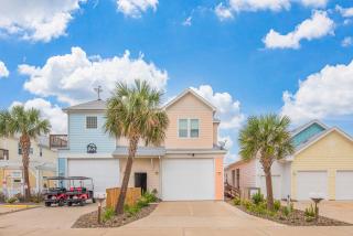 Bird in Paradise - Port Aransas - 6