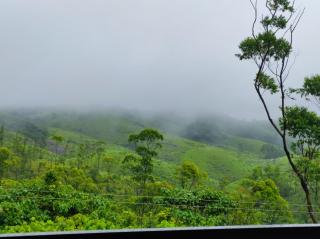 Winter Woods - Vagamon - 3