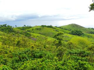 Winter Woods - Vagamon - 4