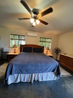 Private Ohana on the lush Hamakua coast with AC - Honokaa - 4