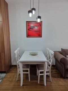 Podgorica Centre apartment - Podgorica - 4