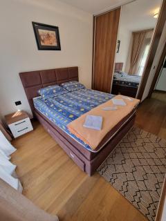 Podgorica Centre apartment - 6
