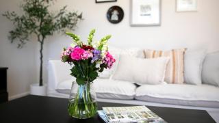 Bluebird Cottage - 3